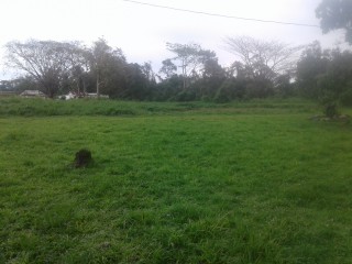 Part of Shenton, Kingston / St. Andrew, Jamaica - Residential lot for Sale